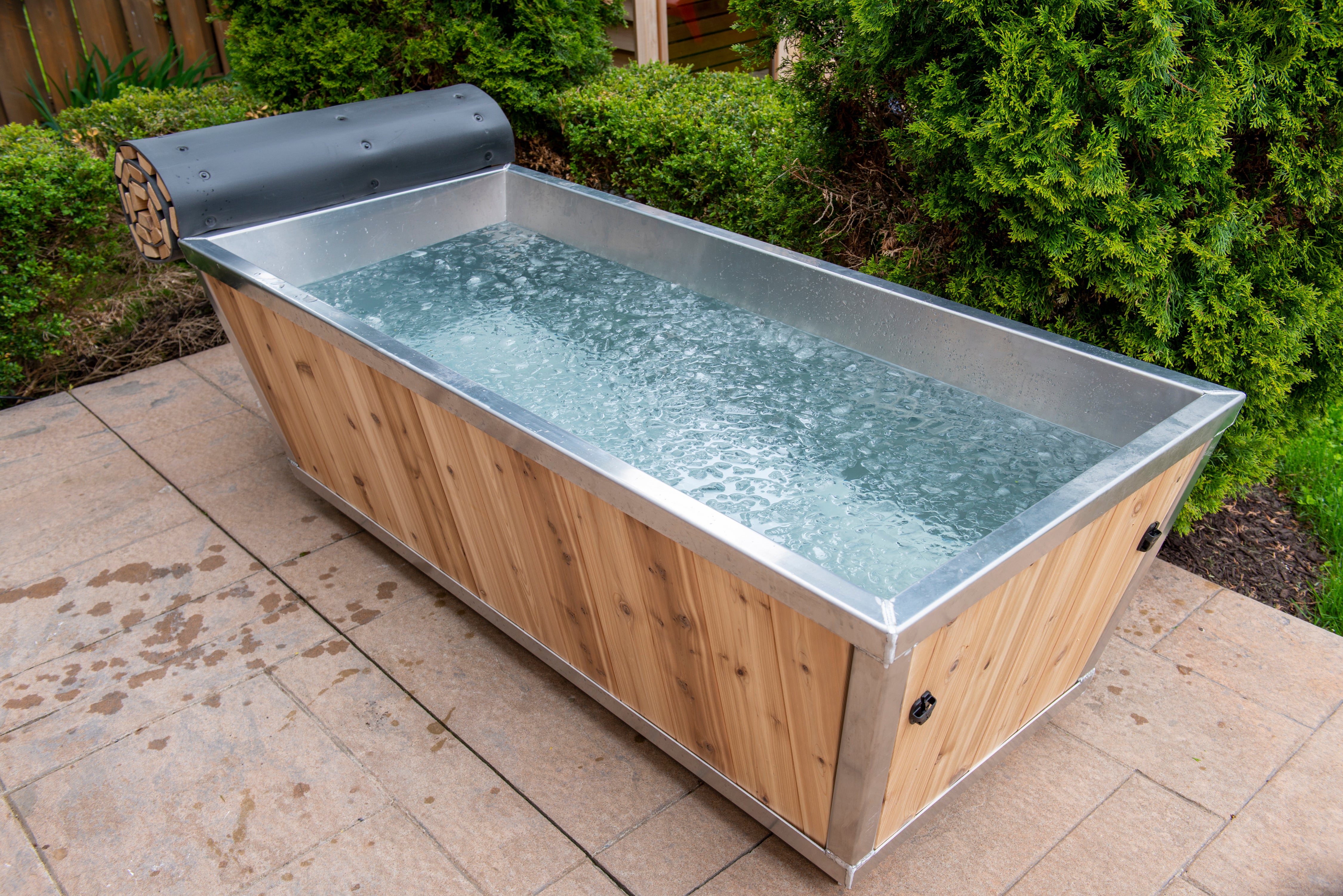 Polar Plunge Tub by Leisurecraft
